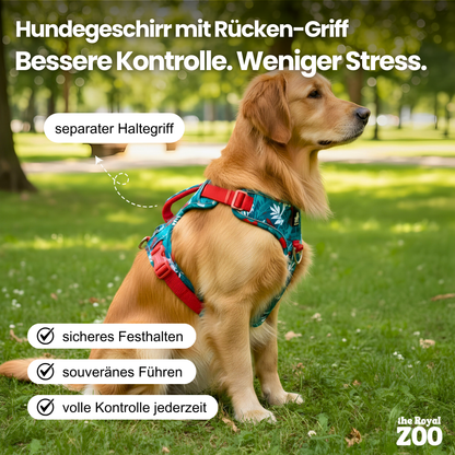 Hundegeschirr mit Rücken-Griff – sichere Kontrolle & reflektierender Schutz