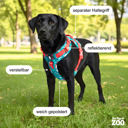 Hundegeschirr mit Rücken-Griff – sichere Kontrolle & reflektierender Schutz