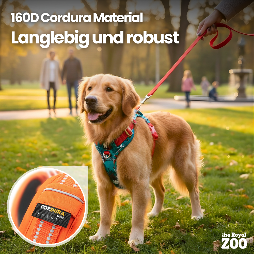 Hundegeschirr mit Rücken-Griff – sichere Kontrolle & reflektierender Schutz