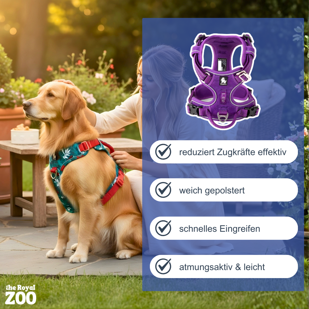 Hundegeschirr mit Rücken-Griff – sichere Kontrolle & reflektierender Schutz