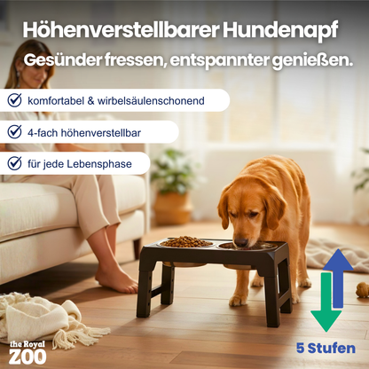 Erhöhter Hundenapf – höhenverstellbar und gesund Fressen