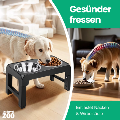 Erhöhter Hundenapf – höhenverstellbar und gesund Fressen