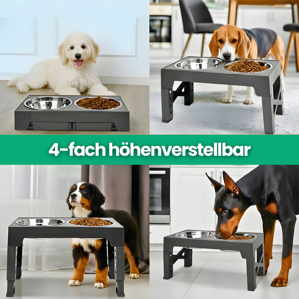 Erhöhter Hundenapf – höhenverstellbar und gesund Fressen