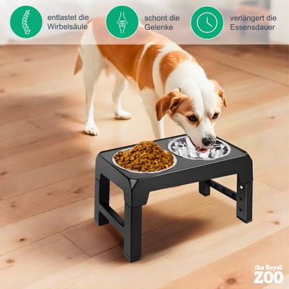 Erhöhter Hundenapf – höhenverstellbar und gesund Fressen