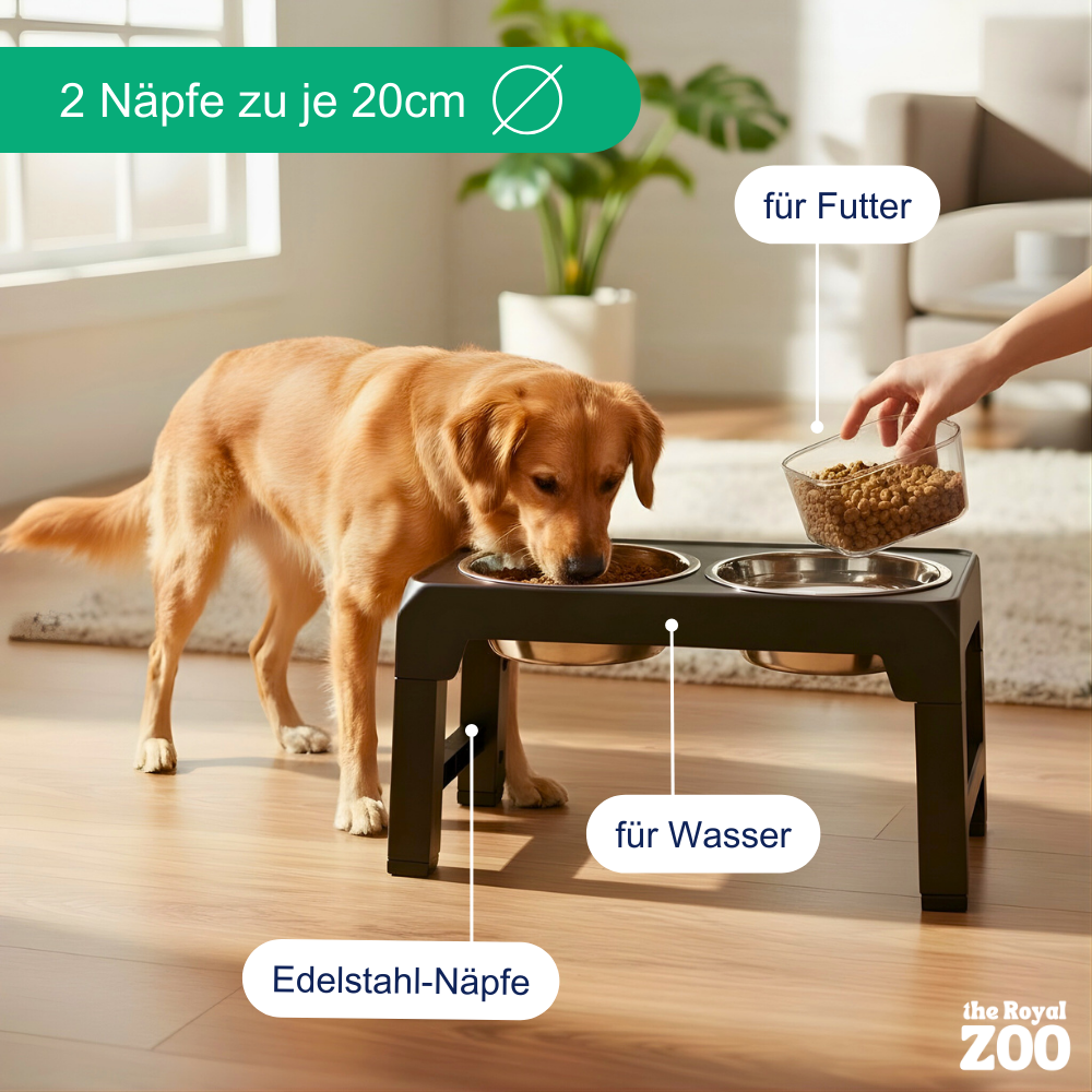Erhöhter Hundenapf – höhenverstellbar und gesund Fressen