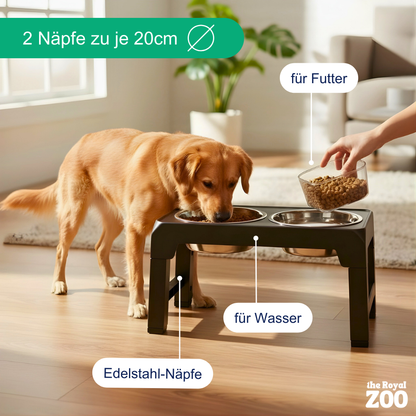Erhöhter Hundenapf – höhenverstellbar und gesund Fressen
