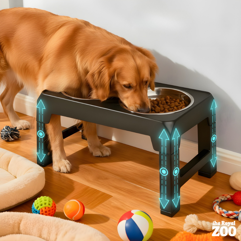 Erhöhter Hundenapf – höhenverstellbar und gesund Fressen