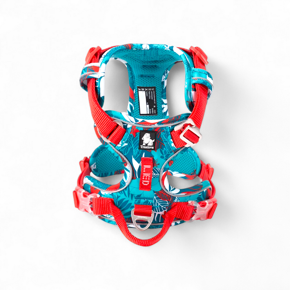 Hundegeschirr mit Rücken-Griff – sichere Kontrolle & reflektierender Schutz